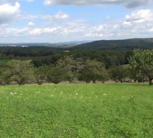 Hochgehnießen - Premiumspazierwanderweg