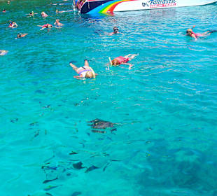 Schnorcheln mit Schildkröten