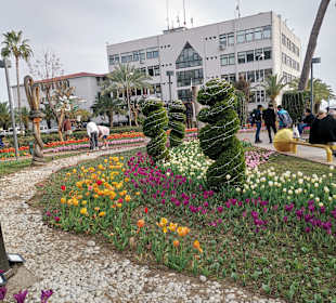 Stadtrundfahrt Alanya