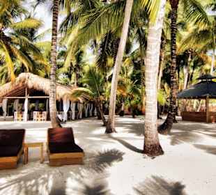 Playa tao