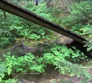 Hochseilgarten Hallwangen