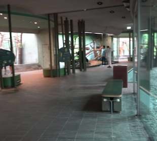 Tierpark Hellabrunn - Welt der Affen