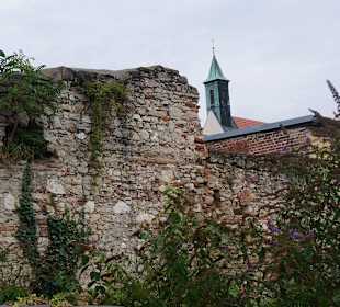 Vom Nutzgarten fotografiert
