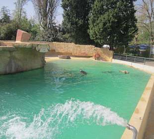 Zoo Heidelberg
