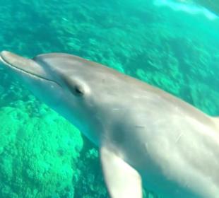 Diese Momente erlebt man mit Mo und Crew 