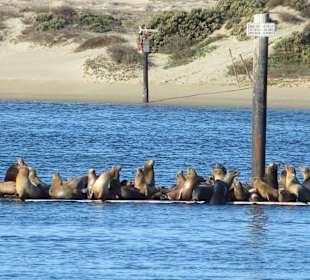 California State Route 1