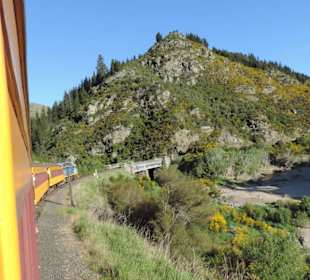 Mitder Taileri Railway durch die Natur Neuseelands