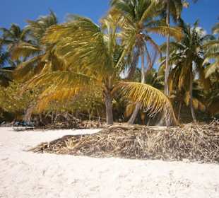 Sandstrand Saona
