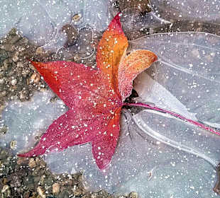 Bad Wildungen - Kurpark