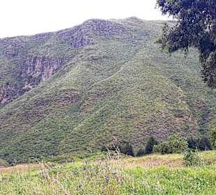 Cotopaxi Nationalpark