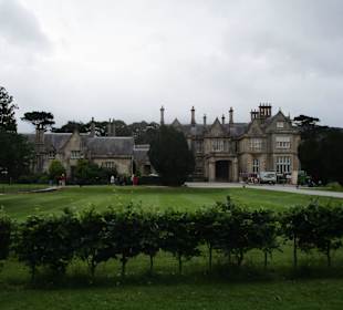  Muckross Gardens