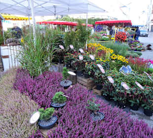 Rundgang über den Wochenmarkt Südermarkt 