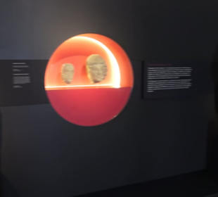 Rheinisches Landesmuseum