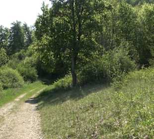 Premiumwanderweg Hochgehschätzt