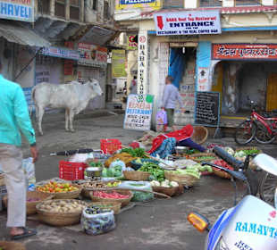 Pushkar