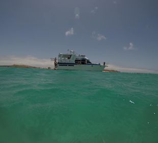 Die "Simply No Stress"