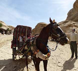 Wir haben es gewagt, ist nichts mit Rückenprobleme