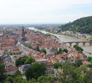 Blick auf Altstadt mit Hauptstraße vom Schloßgarte