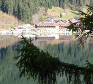 Ausblick auf den Weg zur Edenbachalpe zum Hotel