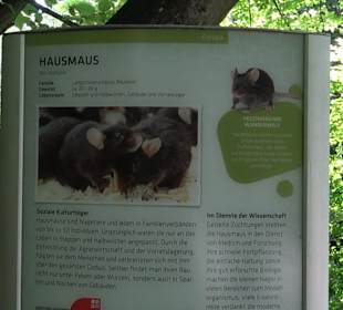 Tierpark Hellabrunn