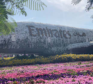 Emirates Dubai Miracle Garden