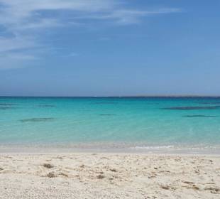 Ausflug zum Schnorcheln
