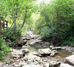 Homole Schlucht/ Jaworki- Ausflug aus Szczawnica 