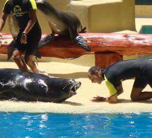 Loro Parque