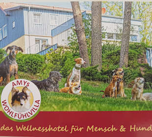 Wandern Zwenzow