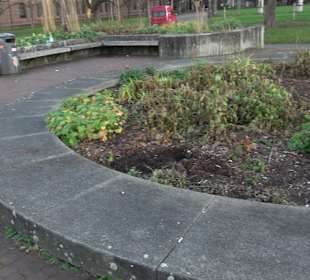 Wasserspiele Stadtgarten