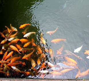 Hue, near impêrial city