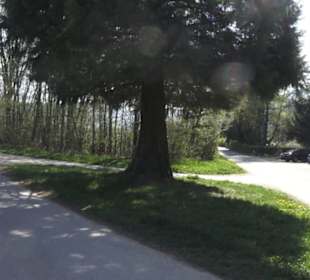 Wanderparkplatz Tannenwald