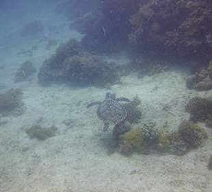 Hotel Sandies Mapenzi Beach