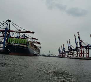 Köhlbrandbrücke mit Terminal Burchardkai