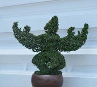 Wat Phra Keo und Königspalast / Grand Palace