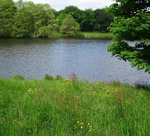 Impressionen vom Rundgang um den Tweelbäker See