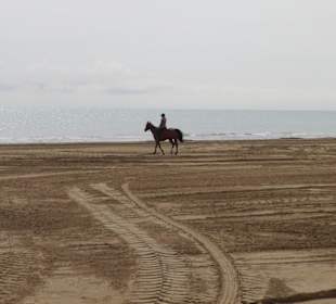 Ausblick vom Terazza al Mare (Cafe)