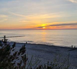 Strand Rewal
