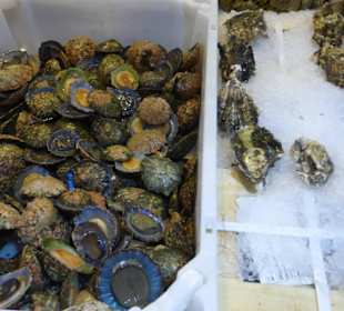 Markthalle: Die Fisch- und Meeresfrüchteabteilung