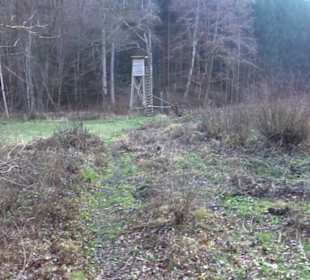 Schönbuch Schaichtal