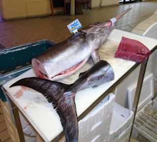 Rundgang zwischen den Auslagen des Mercato Civico