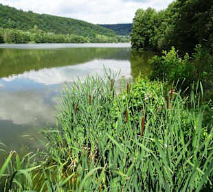 Impressionen vom Echternacher See