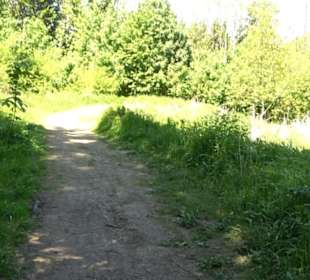 Wiesaztal Gönningen