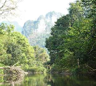 Khao Sok Nationalpark