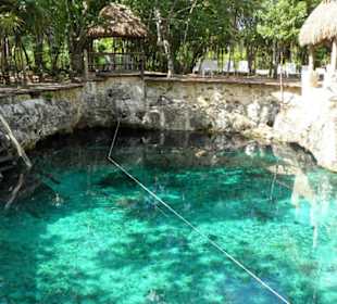 Badecenote auf dem Weg nach Coba