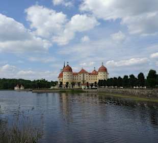 Schloss Moritzburg