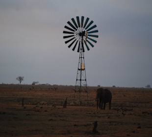Windrad in der Abendstimmung