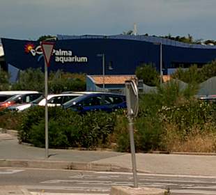 Palma Aquarium 
