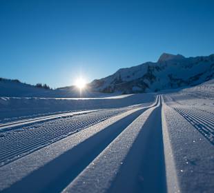 Skigebiet Damüls-Mellau 