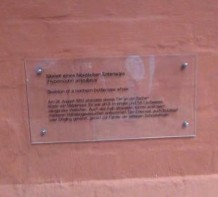 Meeresmuseum Stralsund